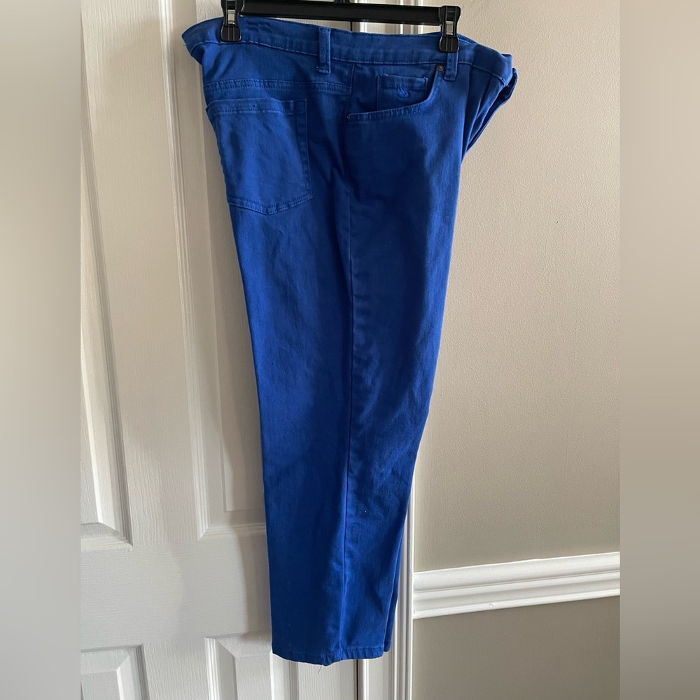 Gloria Vanderbilt Capri’s, Size 16P, Royal Blue, Like New